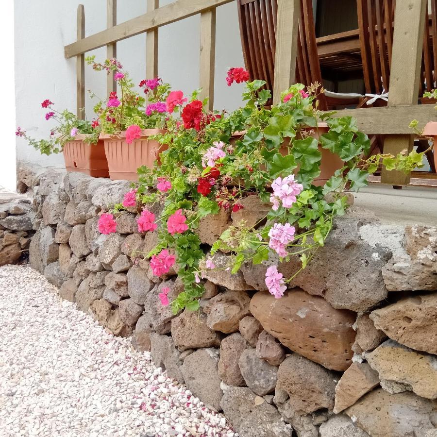 Casa Di Campagna Galtellì Exterior foto